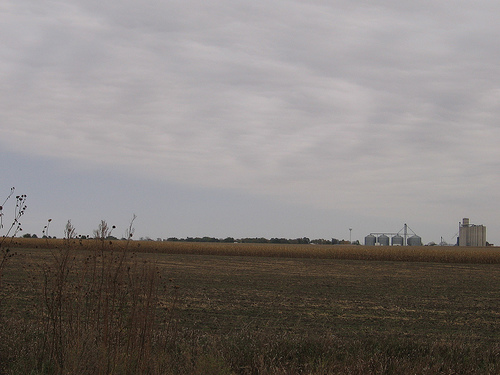 Trumbull Authority