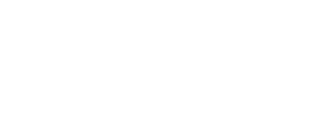 Snyder Authority